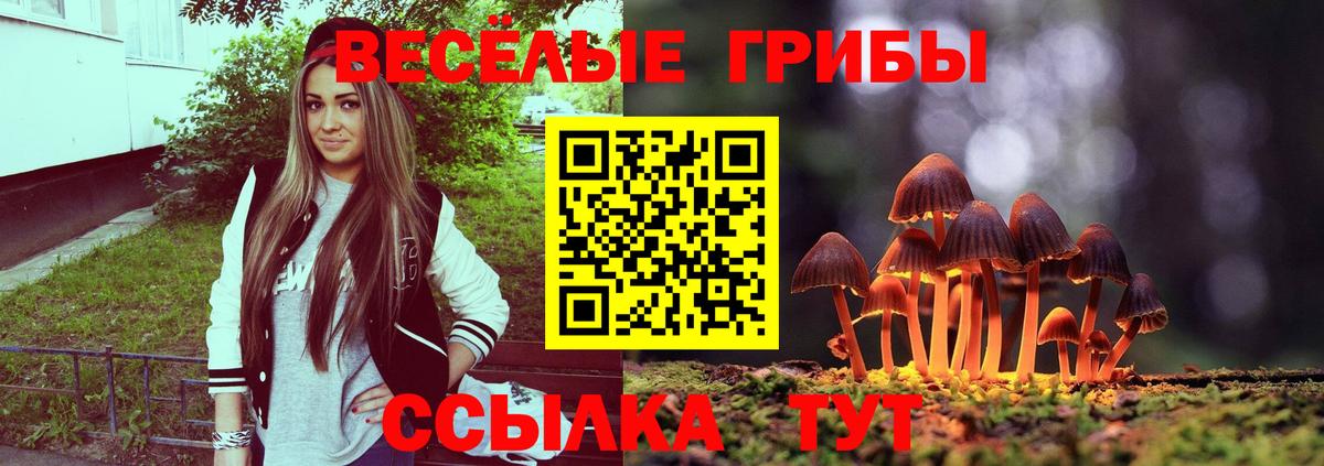 Галлюциногенные грибы ЛСД  Галлюциногенные грибы Psilocybine cubensis  Ангарск  Вход с VPN 